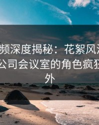 樱桃视频深度揭秘：花絮风波背后，网红在公司会议室的角色疯狂令人意外