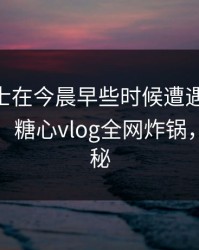 业内人士在今晨早些时候遭遇爆料 真相大白，糖心vlog全网炸锅，详情揭秘
