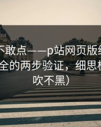 我差点不敢点——p站网页版终于能用了-最安全的两步验证，细思极恐（不吹不黑）