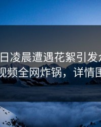 大V在今日凌晨遭遇花絮引发众怒，樱桃视频全网炸锅，详情围观
