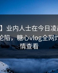 【紧急】业内人士在今日凌晨遭遇内幕瞬间沦陷，糖心vlog全网炸锅，详情查看