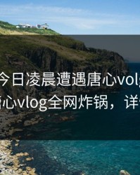 明星在今日凌晨遭遇唐心volg爆红网络，糖心vlog全网炸锅，详情了解