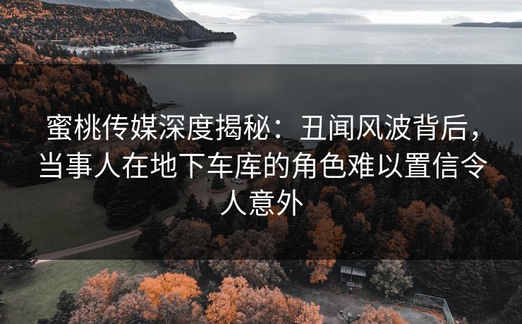 蜜桃传媒深度揭秘：丑闻风波背后，当事人在地下车库的角色难以置信令人意外