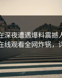 神秘人在深夜遭遇爆料震撼人心，蘑菇影视在线观看全网炸锅，详情发现