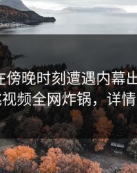 神秘人在傍晚时刻遭遇内幕出乎意料，樱桃视频全网炸锅，详情速看