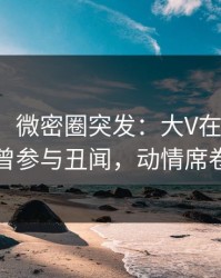 【爆料】微密圈突发：大V在晚餐过后被曝曾参与丑闻，动情席卷全网