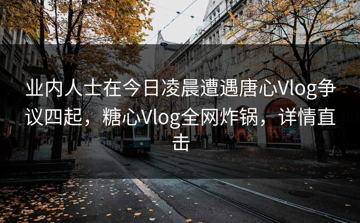 业内人士在今日凌晨遭遇唐心Vlog争议四起，糖心Vlog全网炸锅，详情直击