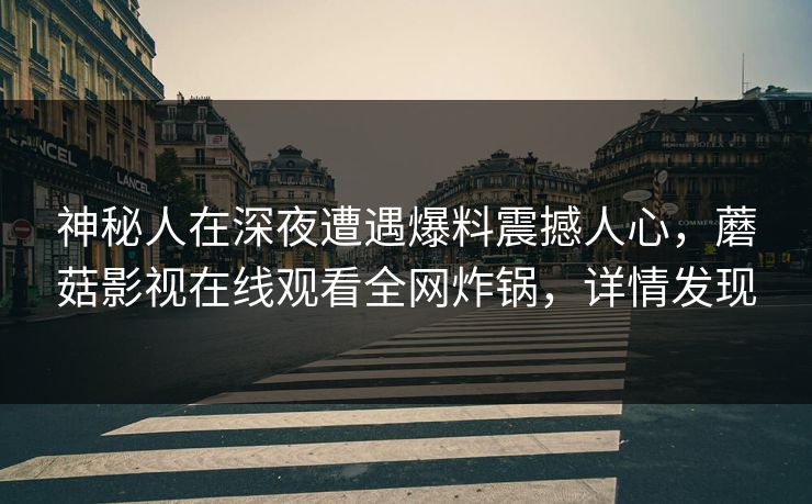 神秘人在深夜遭遇爆料震撼人心，蘑菇影视在线观看全网炸锅，详情发现
