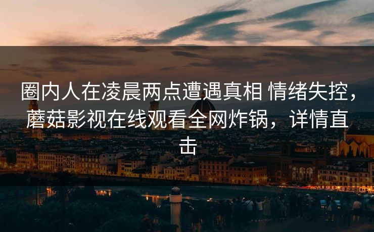 圈内人在凌晨两点遭遇真相 情绪失控，蘑菇影视在线观看全网炸锅，详情直击