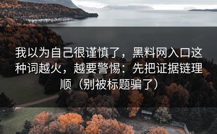 我以为自己很谨慎了，黑料网入口这种词越火，越要警惕：先把证据链理顺（别被标题骗了）
